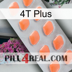 4T Plus 26